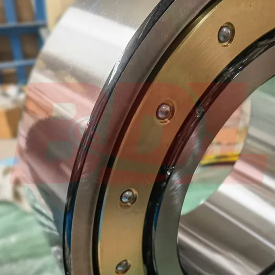 3004244m-Bearing-Cylindrical-Roller-Bearing-