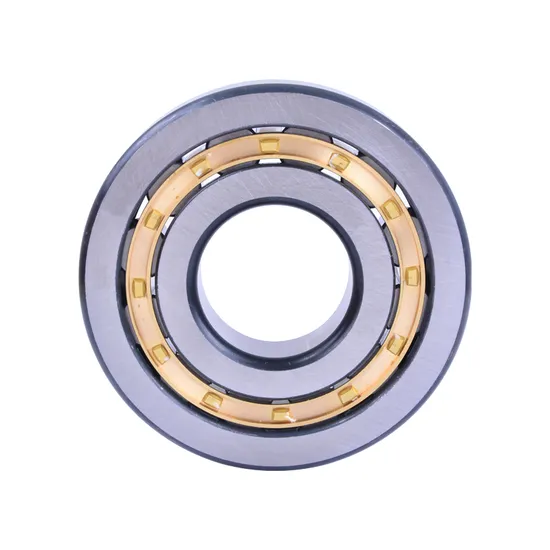 Bdl-Best-Price-N312e-Nj312e-60-130-31mm-Cylinder-Roller-Bearing
