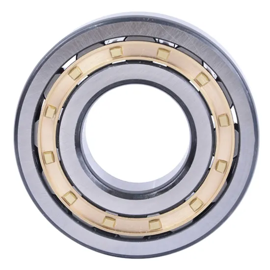 BDL N312E NJ312E 60x130x31mm High Load Cylinder Roller Bearing