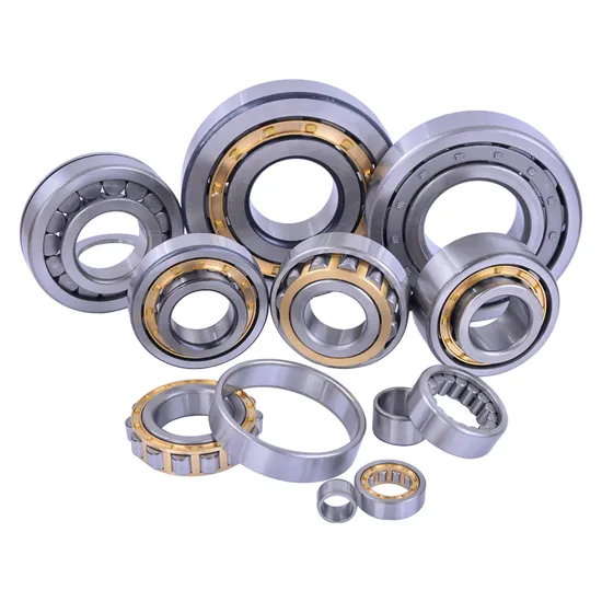 Bdl-Cylindrical-Roller-Bearing-Nu205-Cylindrical-Roller-Bearing-for-Gas-Turbine