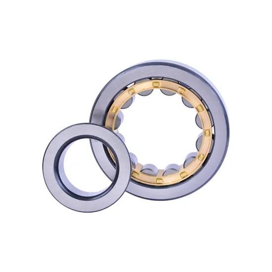 BDL NUP305E Cylindrical Roller Bearing High Load Capacity for Machine Tool Spindles