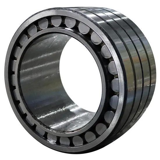 Bdl-High-Precision-Double-Row-Cylindrical-Roller-Bearing-Nn3008-Nn3009-Nn3010-P5-P4-W33