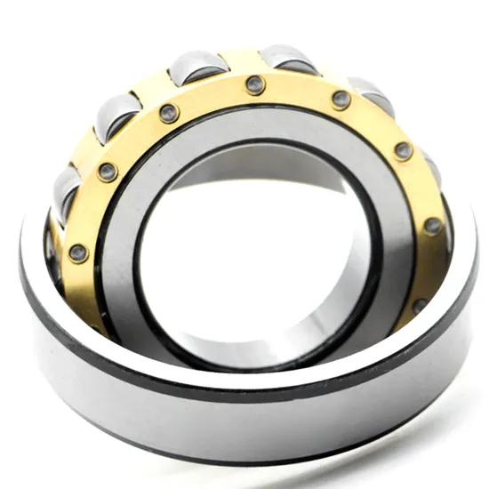 Bdl-Nu2240-Direct-Supply-Cylindrical-Roller-Bearing-for-Machine-Tool-Spindle