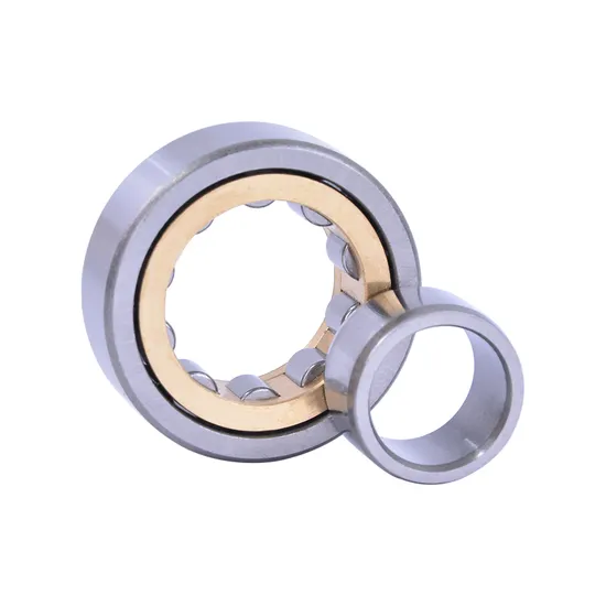 Bdl-Single-Row-Cylindrical-Cross-Roller-Bearing-N203