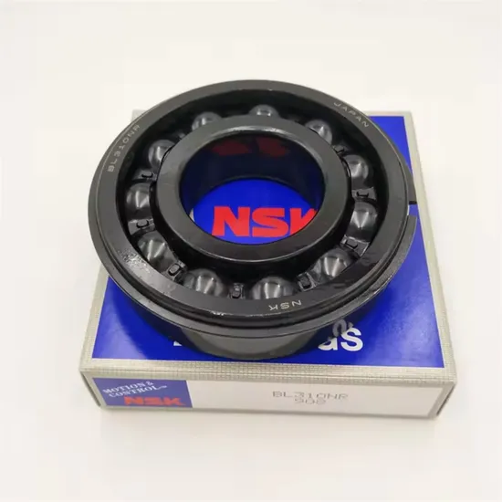 Bl310-Nr-Deep-Groove-Ball-Bearing-Bl310nr-with-Snap-Ring-Size-50X110X27mm-NSK-Bearing