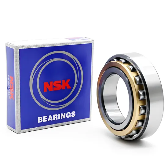 NSK N305EM Cylindrical Roller Bearing 25x62x17mm High Precision