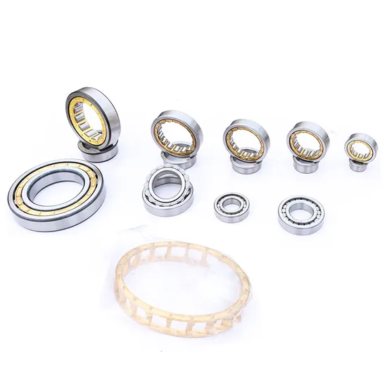 Cylindrical-Roller-Bearing-Nu1005-Nu1006-Nu1007-Nu1008-