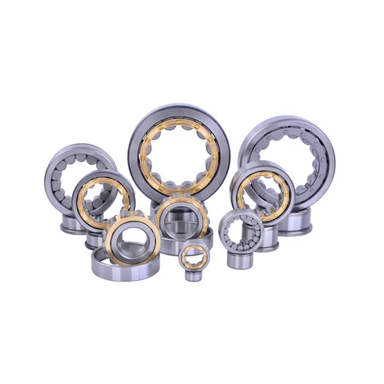 Cylindrical Roller Bearing N205: High Load Capacity & Precision for Motorcycle, Auto, Wheel Parts