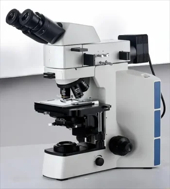 Zju 6202 1/2 Heavy Duty Ball Bearing for Machine Tool China offers reliable performance for machine tools. High-quality, durable design ensures smooth operation in industrial applications.