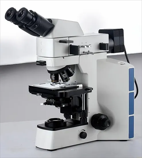 Zju 6202 1/2 Heavy Duty Ball Bearing for Machine Tool China offers reliable performance for machine tools. High-quality, durable design ensures smooth operation in industrial applications.