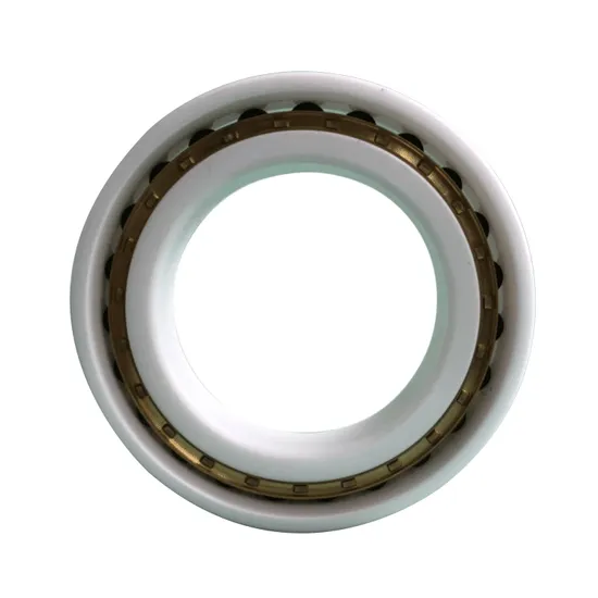 Japan-Series-Products-High-Temperature-Corrosion-Resistant-6000-Ceramic-Bearing