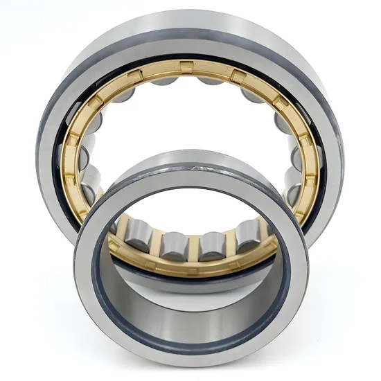 Multi-Specification-High-Precision-Internal-Combustion-Nu1060-Cylindrical-Roller-Bearing