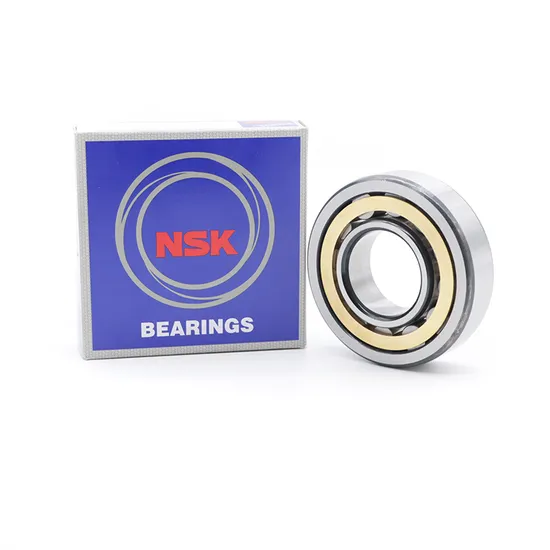NSK NTN KOYO NJ417EM/8EM/9EM Cylindrical Roller Bearing High Load Capacity