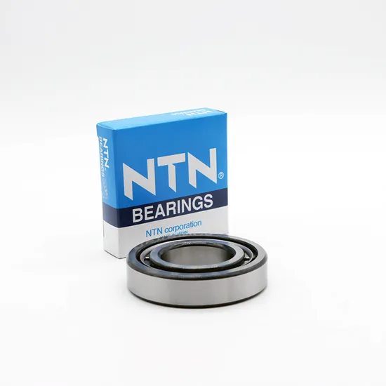 NTN-Koyo-Timken-Roller-Bearing-N306em-N307em-N308em-Cylindrical-Roller-Bearing