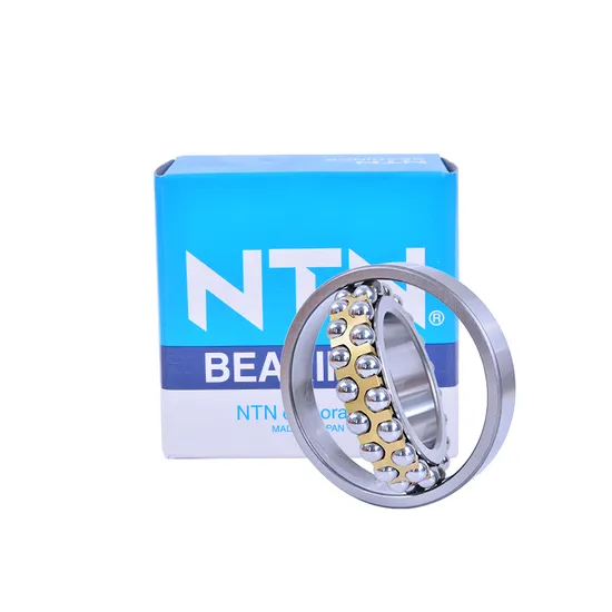 NTN-NSK-Koyo-2306-2307-2308-Self-Aligning-Ball-Bearings-for-Textile-Machinery