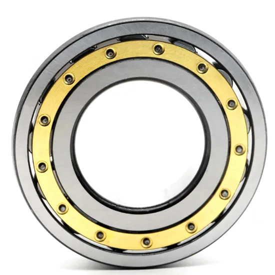 Nu311em-Nup311em-N-NF-Nj-Nu-Series-Bearing-Cylindrical-Roller-Bearing