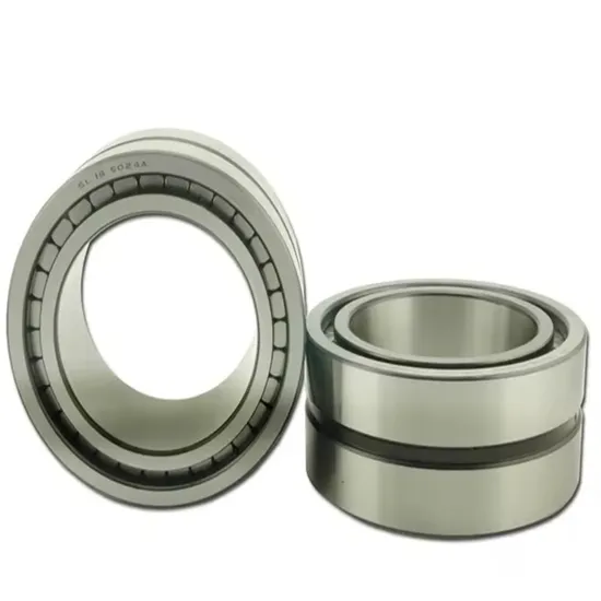 SL045005-PP-Full-Complement-Cylindrical-Roller-Bearing-SL045005-Nnf5005