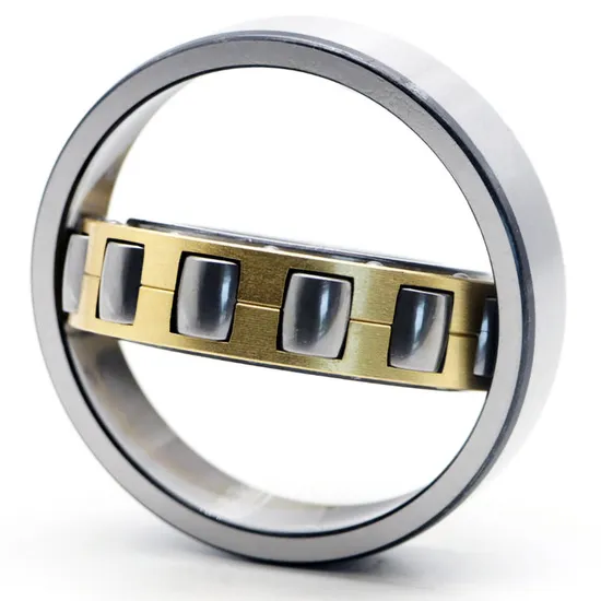 Single-Row-Cylindrical-Roller-Bearing-Nu1010m-Nu1012m-Nu1014m-Nu1016m-Nu1018m