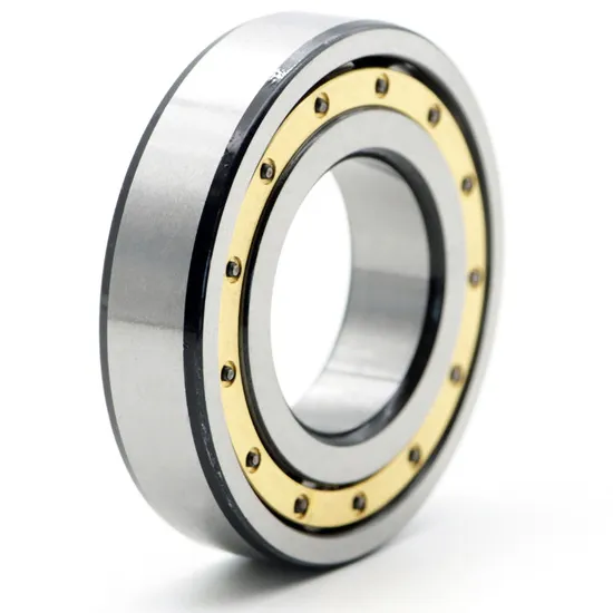 Single Row NU1010M Cylindrical Roller Bearing 50x80x16mm High Load Capacity
